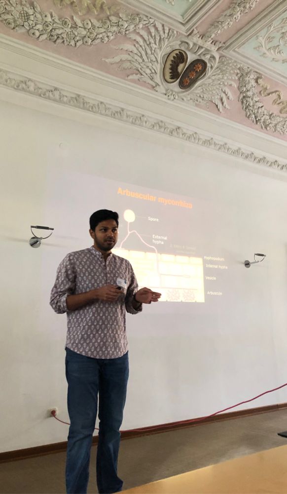 A doctoral student in front of his introductory side about AM symbiosis. The room has a stuccoed ceiling with pink details