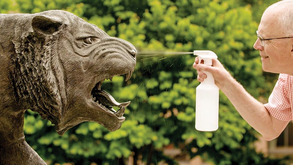 Older man with white hair is wearing glasses and a plaid short sleeve shirt while spraying cleaner on the tiger statue 