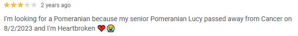 3 star review of a dog rescue: I'm looking for a Pomeranian because my senior Pomeranian Lucy passed away from Cancer on 8/2/2023 and I'm Heartbroken 💔😭