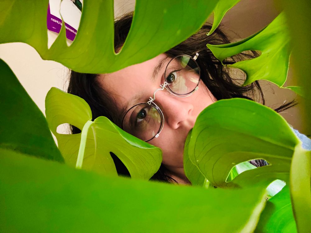 me hiding in plants 