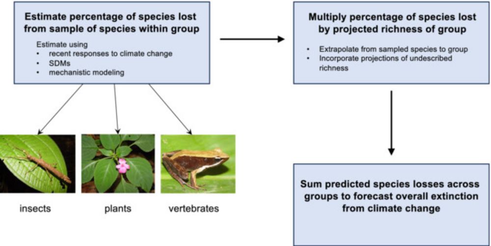 How many species will Earth lose to climate change?