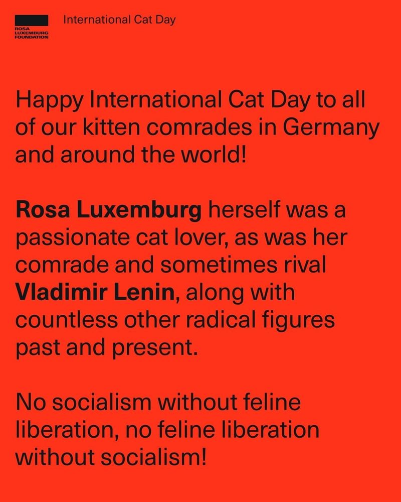 "Happy International Cat Day to all of our kitten comrades in Germany and around the world!"
(...)
"No socialism without feline liberation, no feline liberation without socialism!"

Source: https://www.instagram.com/rosaluxglobal
@rosaluxstiftung.bsky.social

Source: https://www.instagram.com/rosaluxglobal
@rosaluxstiftung.bsky.social