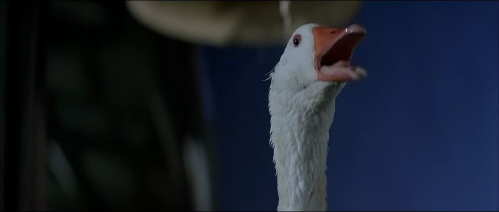 Fuckin' goose man, goosin' around in Big Trouble in Little China