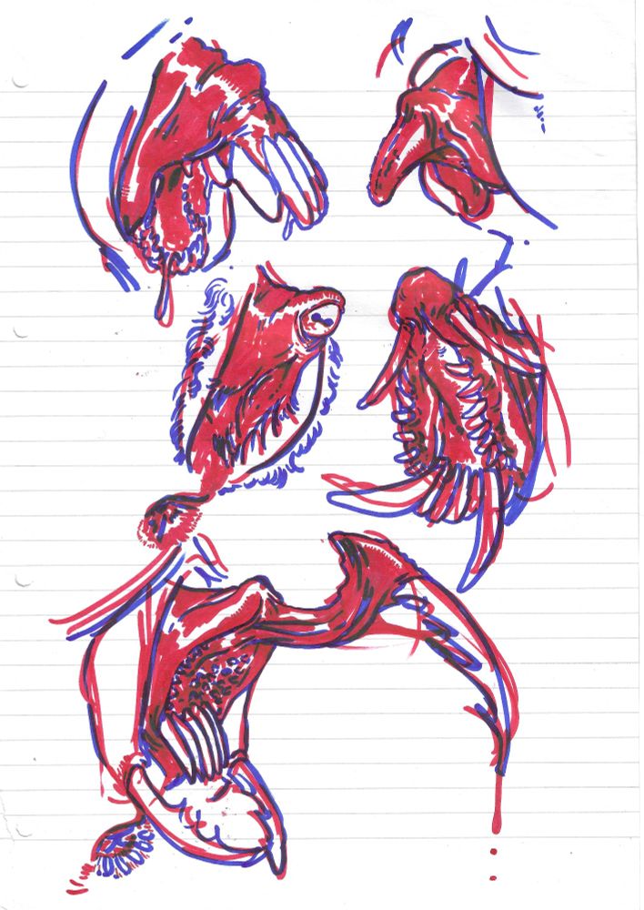 A set of five hypertrofic vaginas, put two for row until the last one alone. From left to right, first row has teeth and the second a tongue instead of the head of the dick. Second row on the left there's an eye instead of the head and lashes on the inner labia, second has a head of the dick but oni-like teeth. Last one has a claw sprouthing from the head and various teeth, plus an insectoid mandible on the lower part of the outer labia.