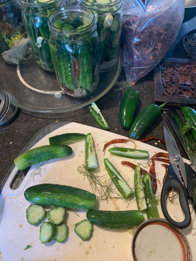 A collection of dill, garlic, and two kinds of chilis with pickling cucumbers
