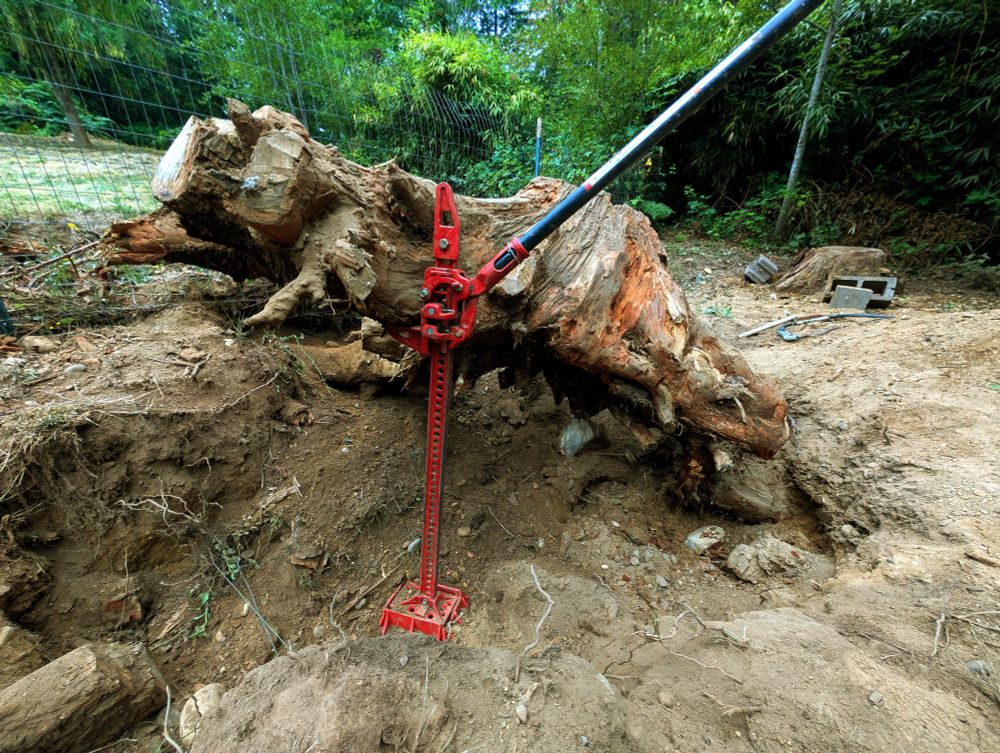 One of the best tools for the job so far. So glad I already had this 4ft jack I bought years back to remove fence posts. At this point the stump still had one section of roots hanging on, and covered by other thick roots making it nearly impossible to get to without extensive excavation. Lifting it up like this both breaks the roots and allows for access to further disentangle the roots from the ground
 