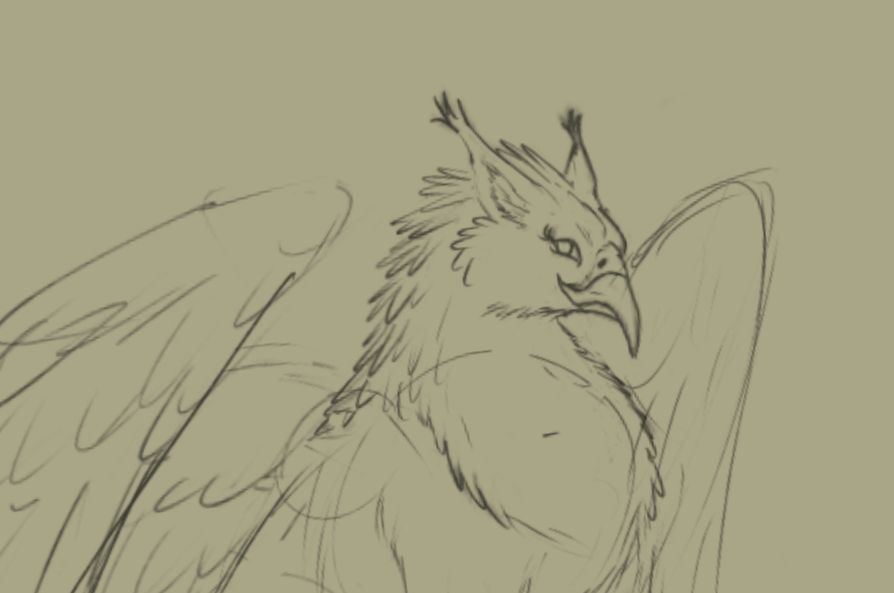 A very rough sketch of a griffon. 