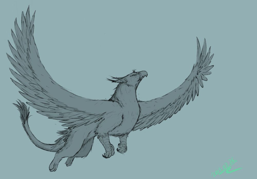 A sketch (colorless as usual) of a gryphon flying high up, it's wings spread out far and wide, in a half moon shape.