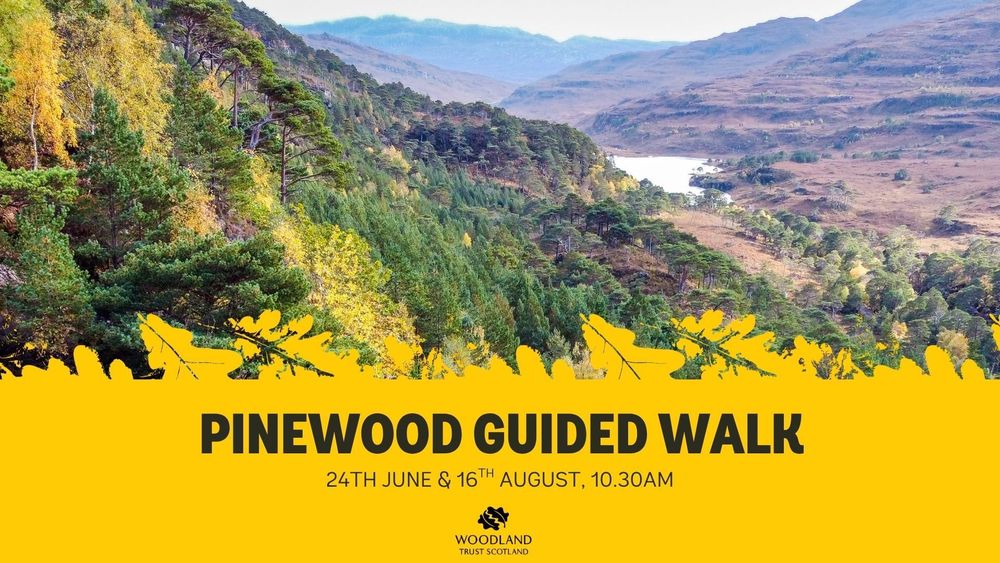 A valley with pinewood stretches into the distance where a loch weaves between rolling hills. The text reads 'Pinewood Guided Walk'