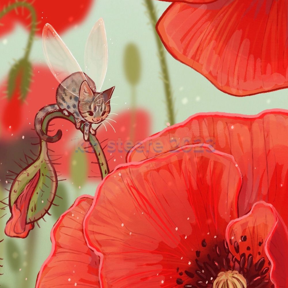 A crop of a digital sketch of a tiny tabby fairy on red poppy flowers. The kitty has little clear wings that are gently folded upon its back.