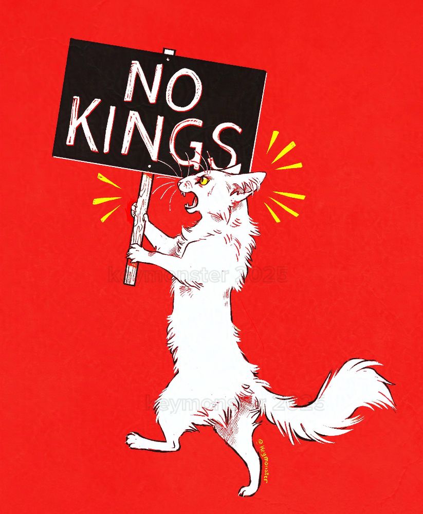 A digital illustration of a white, long haired cat walking on it’s hind legs holding a sign that says “no kings”. The drawing is very high contrast with reds, blacks and whites with yellow highlights. This drawing is 100% human made. 