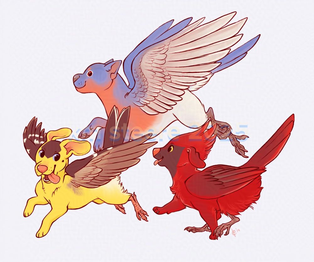 A digital illustration of three bird dog hybrids. There is a golden finch hound, a bluebird terrier and a red cardinal mutt. 