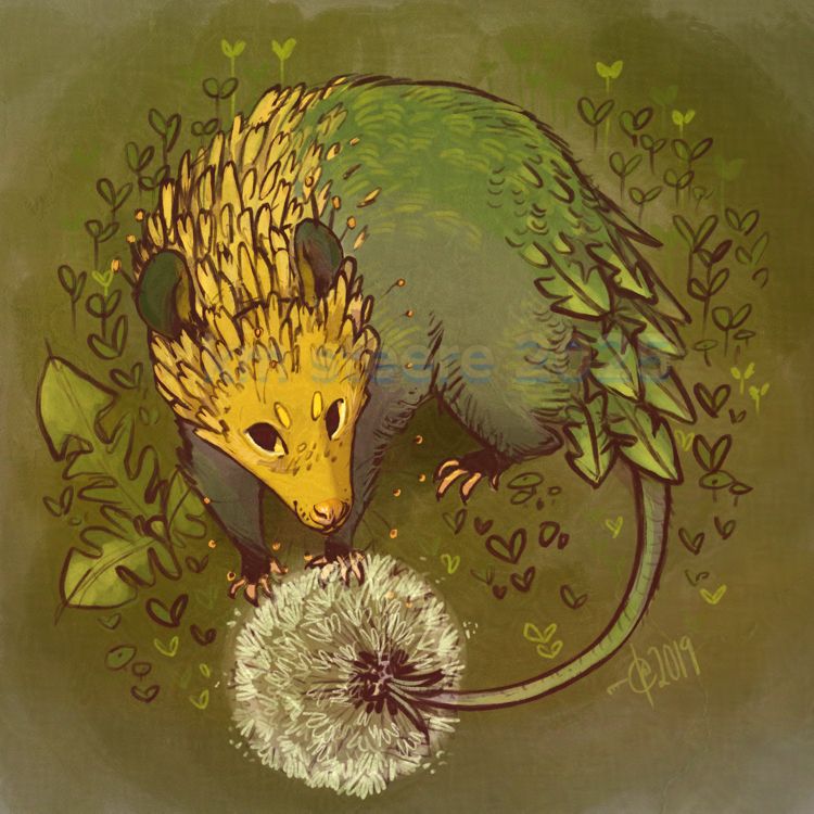 A digital illustration of an opossum mixed with a dandelion. Its face and neck are made from yellow petals and its body has green leaves sprouting from it. Its tail has a poofy seed head on it.   