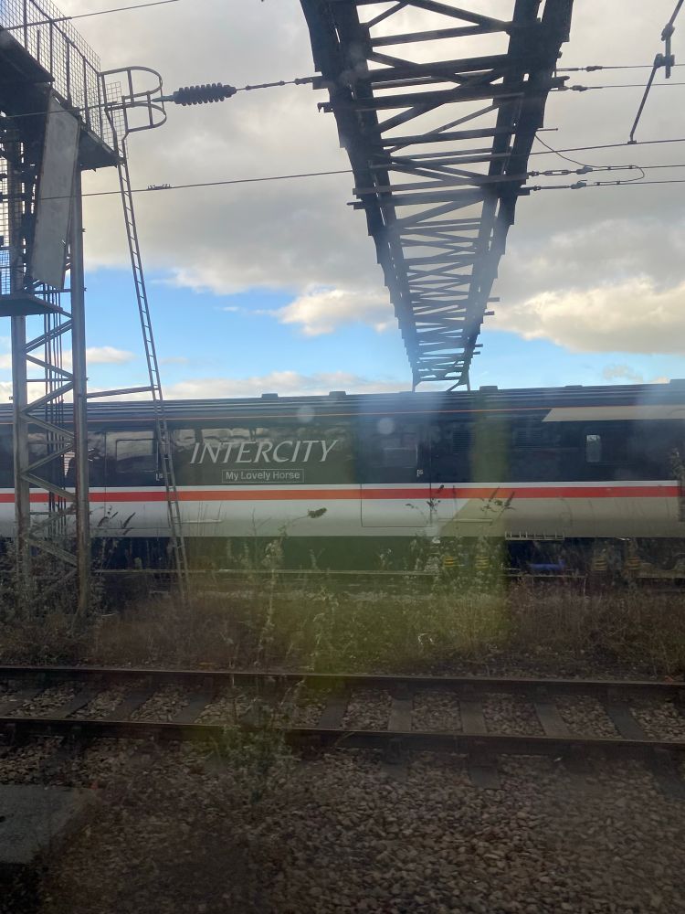 A train with the name “my lovely horse”