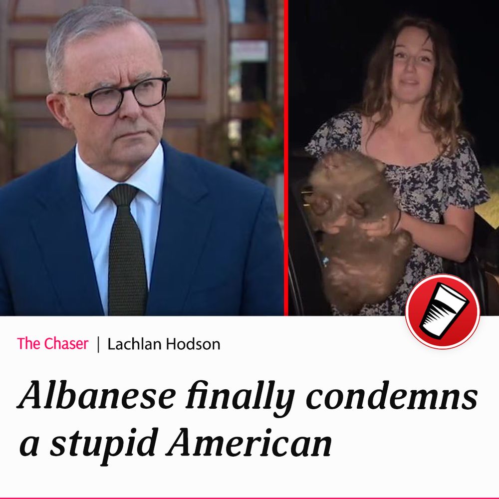 Image of Albanese and an image of the influencer stealing a baby wombat. Headline: Albanese finally condemns a stupid American