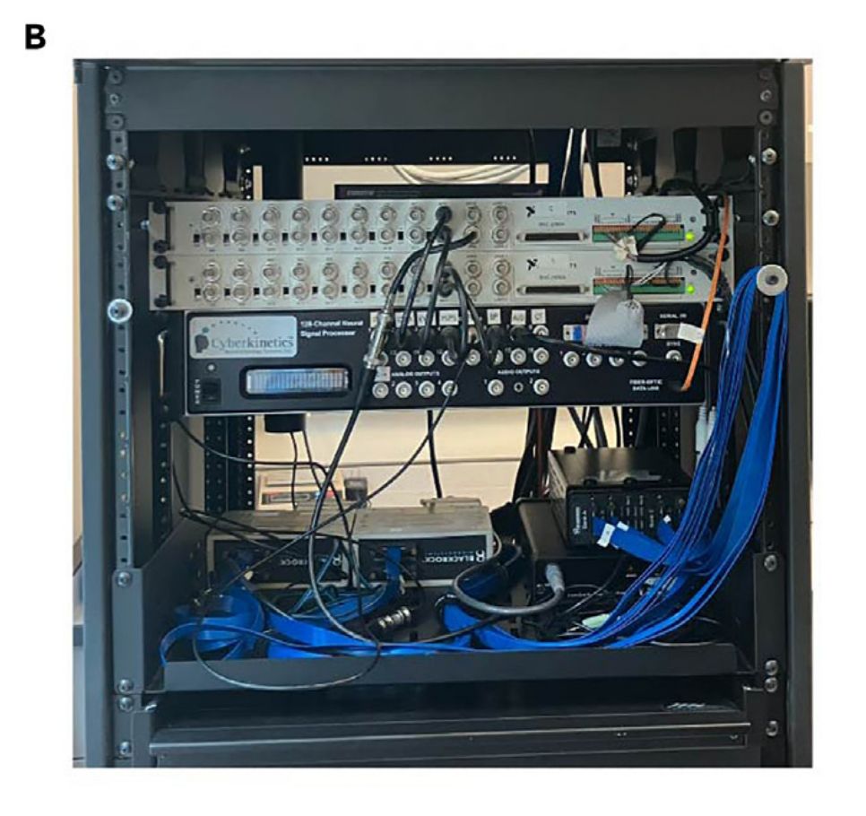 A cyberkinetics neural signal processor with national intruments BNC breakout boxes and a jumble of cables. 