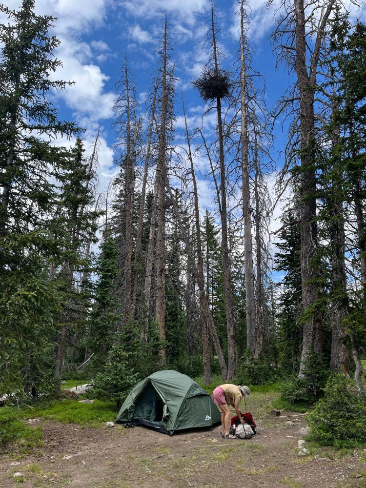 A backpacker and tent in the forest 