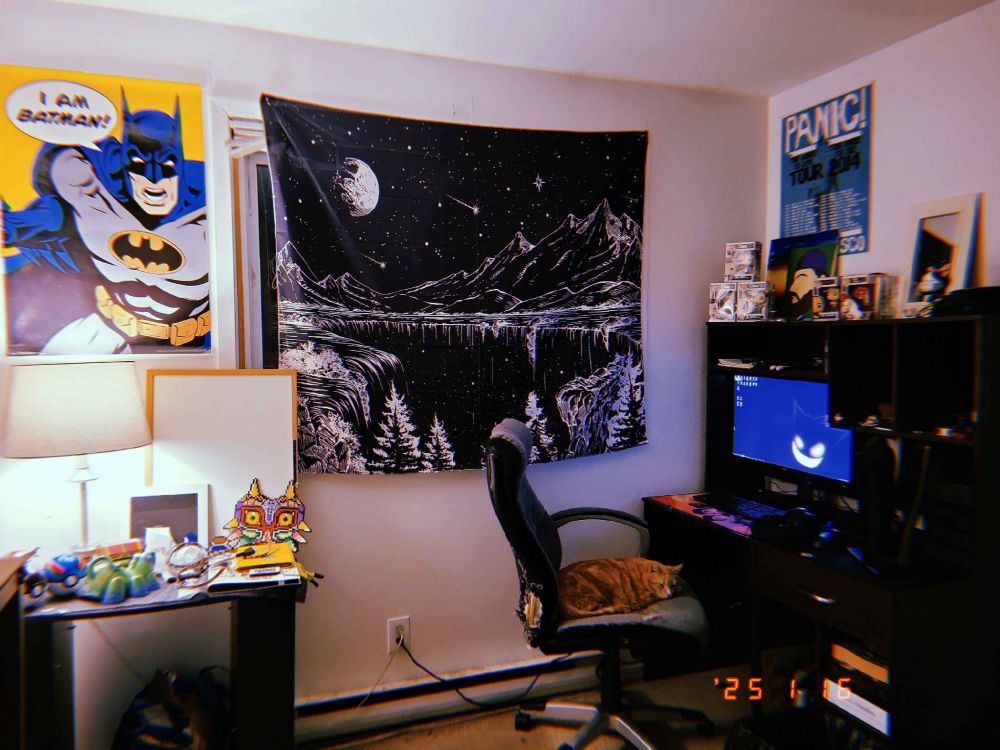My stream room after a tapestry, a cat, and a wallpaper upgrade🔥