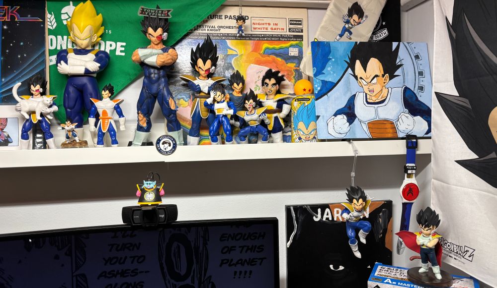 the vegetas behind my webcam
