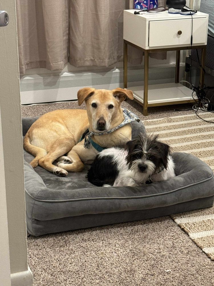 Daisy and Oblio sitting together on Daisy's bed, looking at the camera