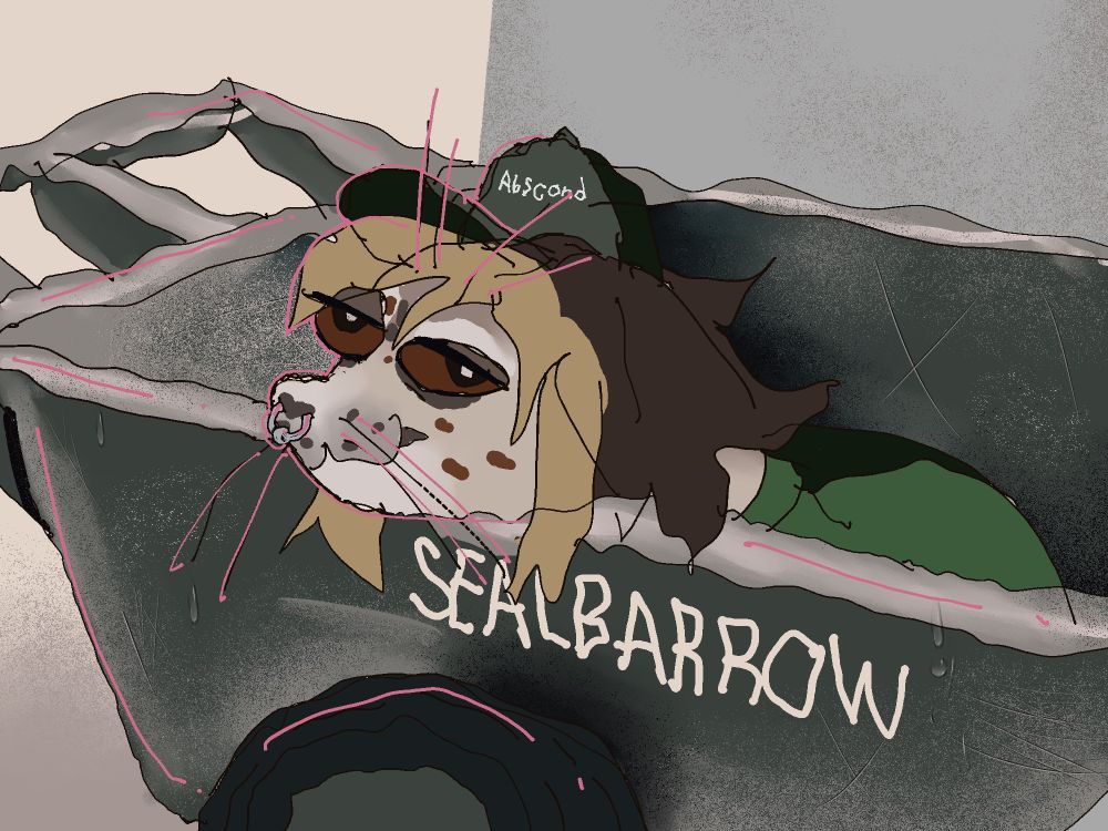 digital drawing over a photo of a seal in a wheel barrow labeled sealbarrow - the seal is styled like my seal sona Shrimp and is wearing a baseball hat that says “abscond” on it