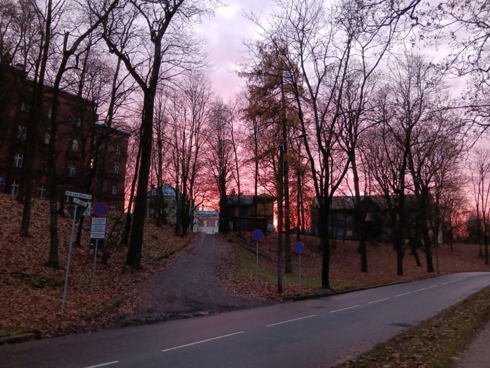 Roosakas kuma majade ja puude taga. Vaade eilsele loojangule Tartus, Vallikraavi tänaval.