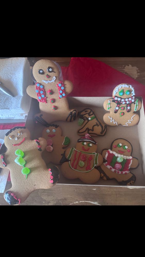 Gingerbread man, doggie, kitty and snowman all colored with icing 