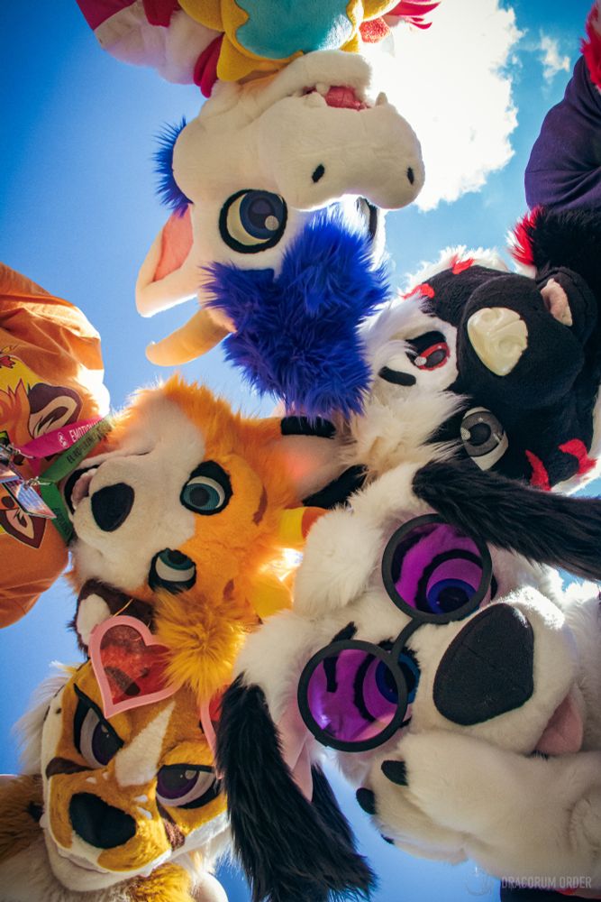 Photo of 5 fursuits looking down at a camera on the ground, the sky in the background and the sun occluded by the heads
