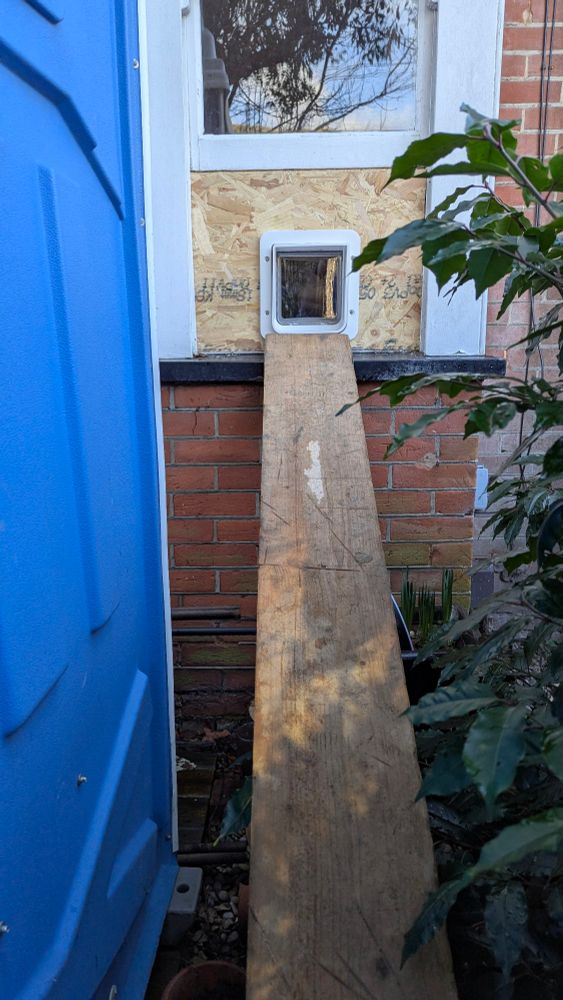 A plank leading up to a boarded up window with a catflap in. 