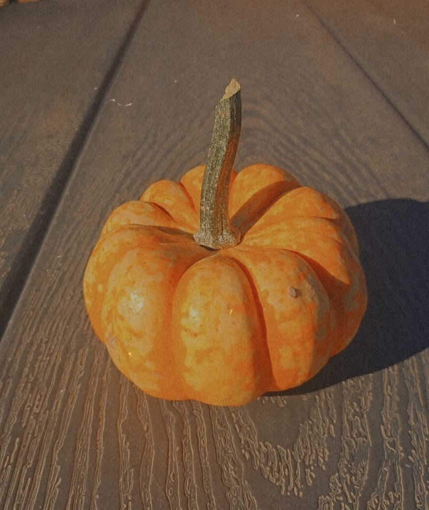 Pumpkin