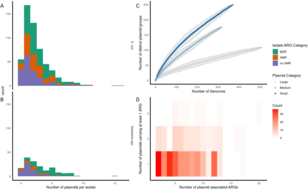 The plasmidome associated with Gram-negative bloodstream infections: A large-scale observational study using complete plasmid assemblies - Nature Communications