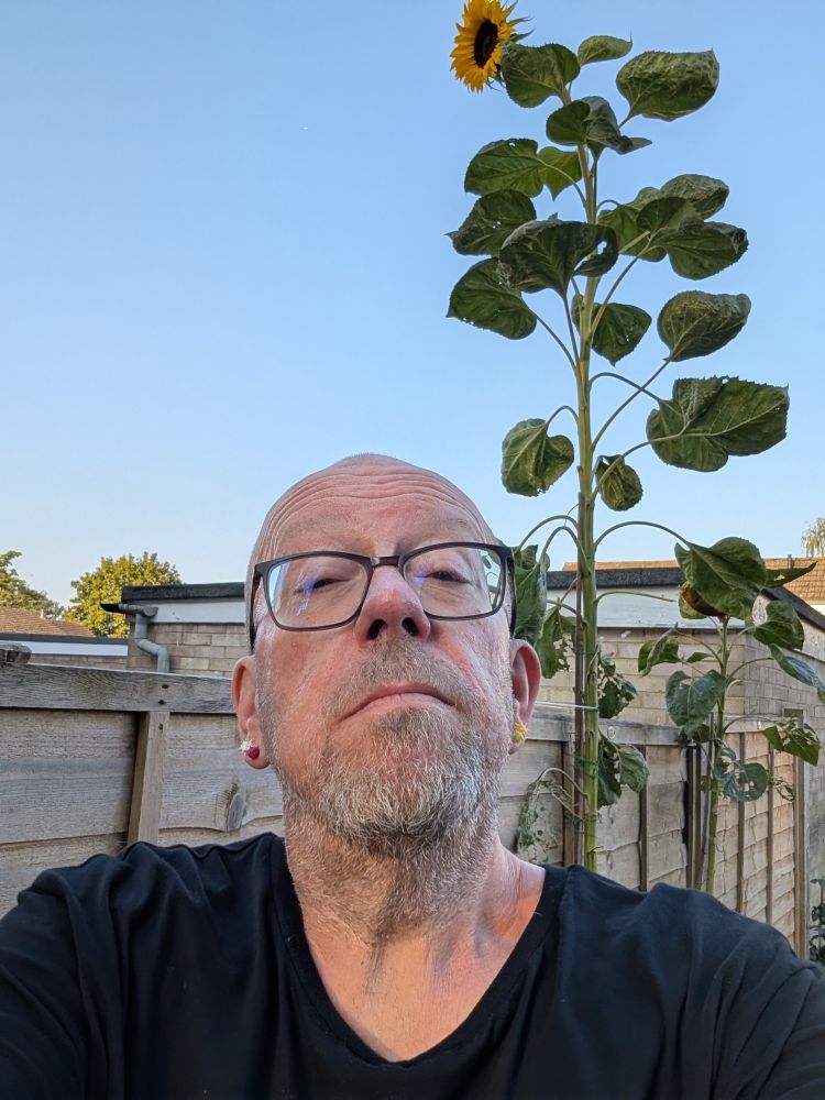 Graeme Hunter standing proudly in front of the 10.5 foot sunflower he has grown despite his inability at gardening
