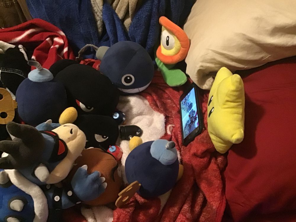 Had my Mario plushies and toys for this. I’m autistic by the way.