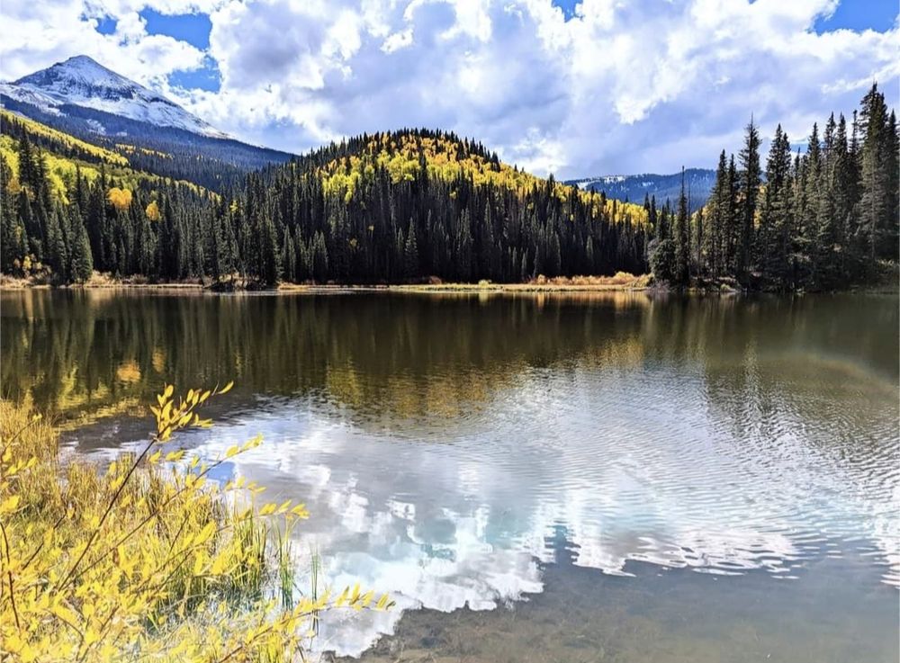 Clouds reflect in a lake surrounded by mountains of yellow Aspen and green pine.