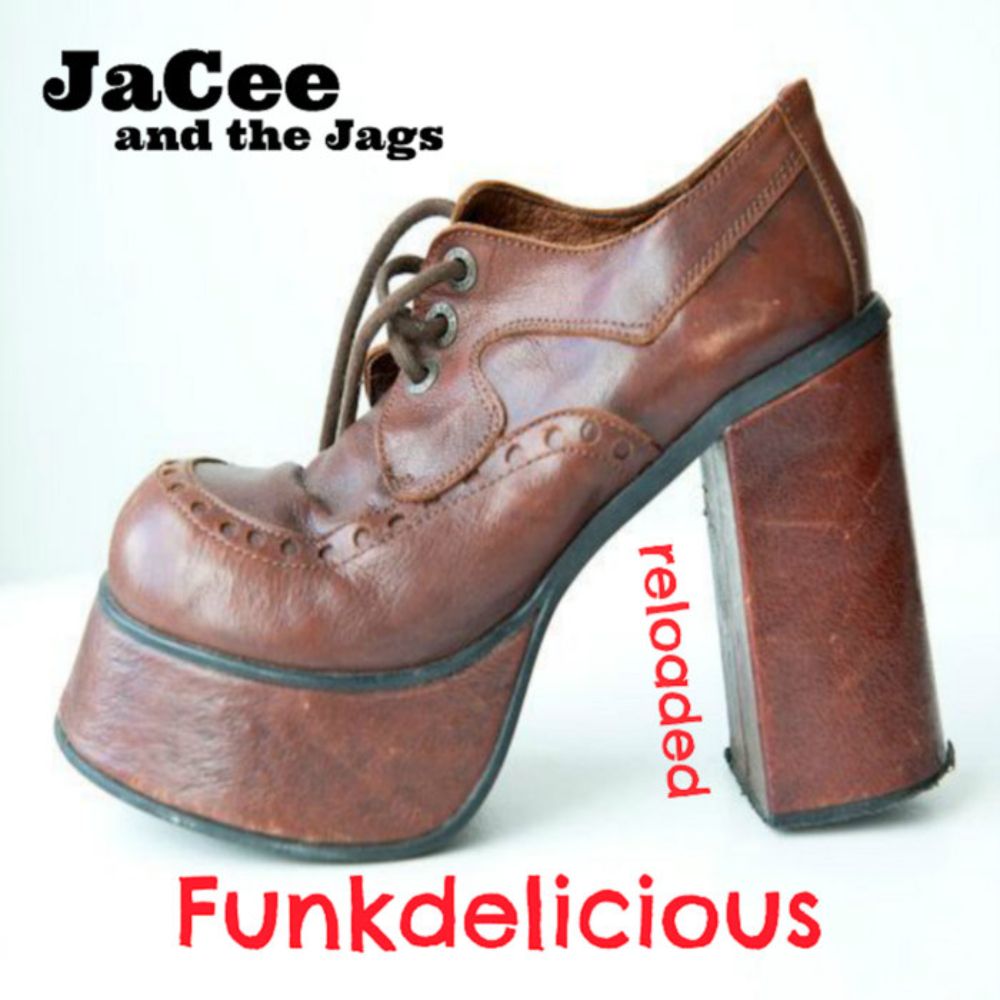 Funkdelicious reloaded <instrumental>, by JaCee and the Jags