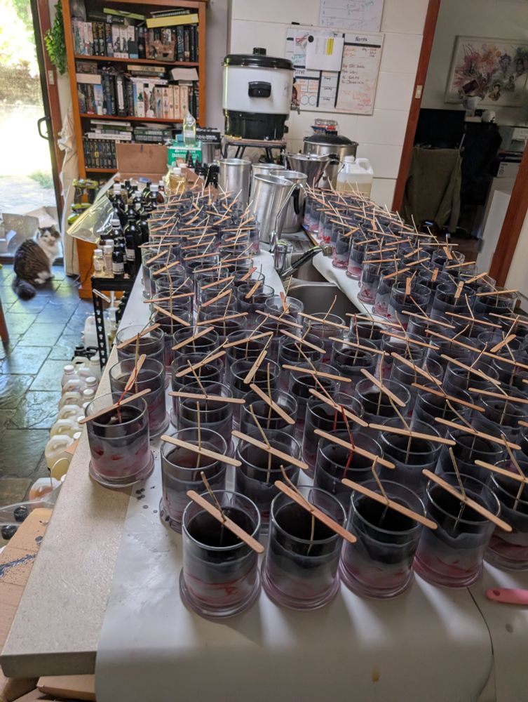 A hundred or something slush poured Gustave candles awaiting backfill and my cat Toast 