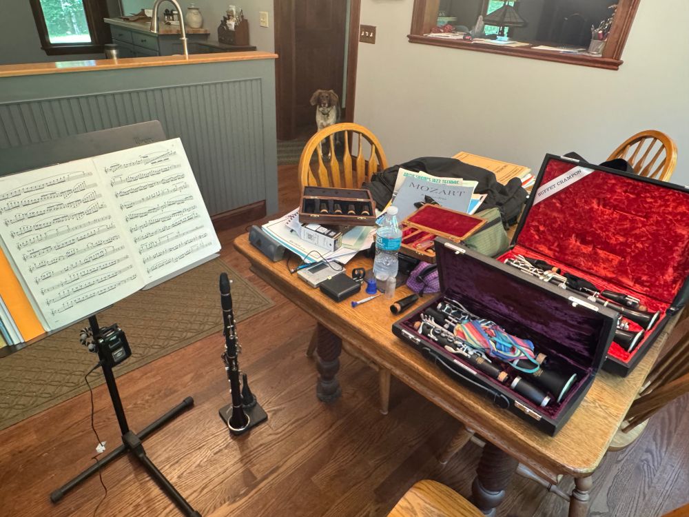 Clarinet detritus is scattered on a kitchen table. A Brittany spaniel stands at the edge of the room with an accusatory glare on her face.