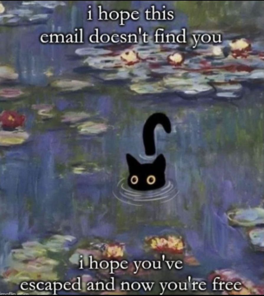 "i hope this email doesn't find you. i hope you've escaped and now you're free" written on a poster of a black cat half inside a pond.
