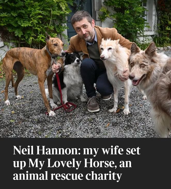 Photo of Neil Hannon kneeling down next to some dogs. Below the photo, the headline reads ‘Neil Hannon: my wife set up My Lovely Horse, an animal rescue charity’