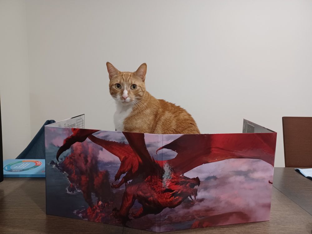 Orange tabby cat (Nutcake) sitting behind a Dungeons & Dragons DM screen that has a red dragon across it. It's his first day as DM.