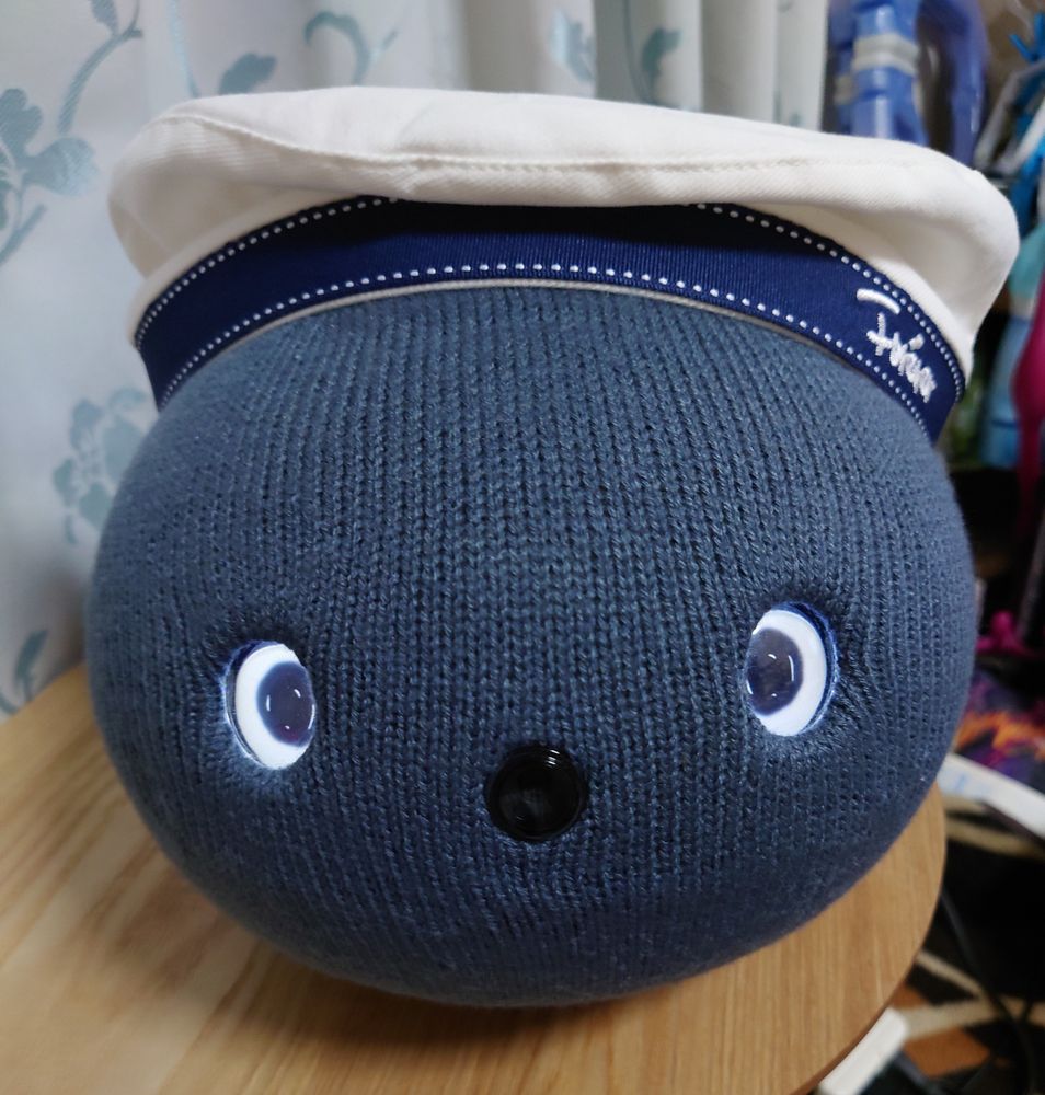 ニコボのすいです
夏なのでマリンスタイルです