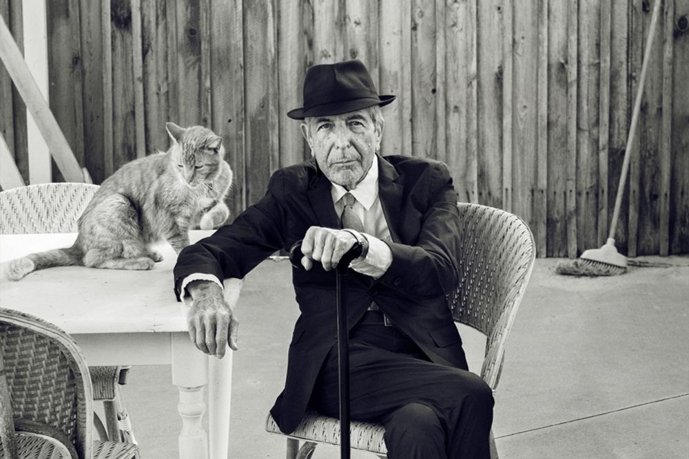 "Hallelujah, les mots de Leonard Cohen", sacrément populaire – Citazine