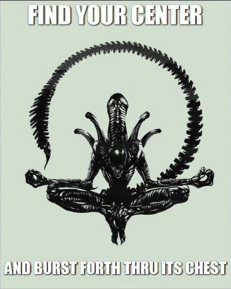 Image- a Xenomorph from the Alien movie franchise in a meditation pose.
Text- Find your center, and burst forth thru its chest.