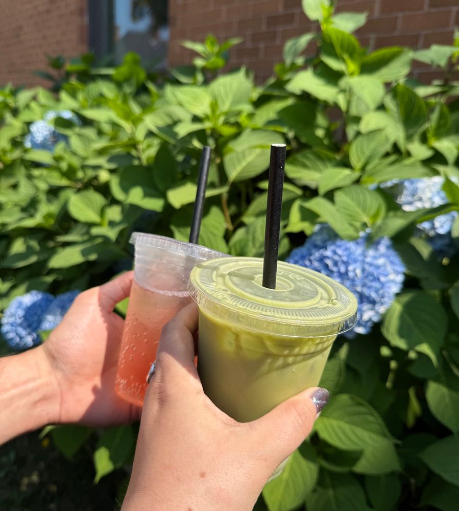 Two hands holding two iced drinks in front of a hydrangea plant