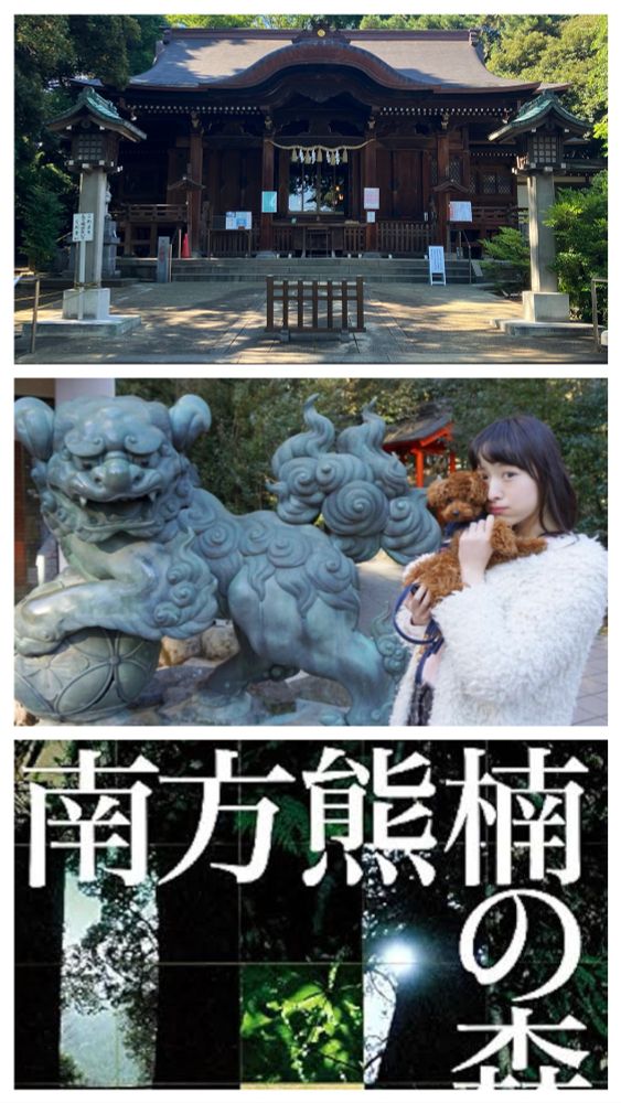 会見で言及されたQUADは4-17-13の自宅最寄りの玉川神社(元熊野)の四列の石畳でQuadropheniaのラスト崖の上から乗り捨てられたGS VCB160の社会改変に備える意図が見れる。前日参院選で初出馬した再生の道の横山春紀(1989年4月18日生)は7歳年下で純とは6歳差の鬼滅と飢餓、理論BBSの「えっちゃんは天使だよ」に充てられている。2017年2月8日に致死性不整脈で亡くなった私立恵比寿中学の松野莉奈もロマサガと七英雄がA Piece of Futureの村上隆から数えられKPPとグアダルーペの誕生日「耳をすませば」の高橋一生の翌日、日本文化に特化してキャロライン・ノバクと前年死去したベンジャミン・クレームとも繋がっている。2日埼玉行田のマンホール事故は硫化水素のリモートセンシングと思考の隙間へ悟りでは無く行と非難する介入で容易に起こされ得る。リンダリンダリンダとスリーパーズはディズニーランドでの卒業写真以来未だに同性四人組の運命。意図しない偶発性と、注目する運命を再現する創作行為は、やがて興行収益や人気と文化の浸透を敵視する左翼や対日勢力の戦略に狩場として狙われてきた。日本国内ですらあるその犠牲は特定秘密を深め世界情勢の混乱で更に取引されAIによってダブルの悲劇の連鎖が継続している。根本にあるIは私個人で、全ての犠牲者と共に偽者として中傷されてきたが、その利権を預かるのはAIに賛同する利用者で、Aの立場は常に巡り裁かれない地位は保持される。AI規制はこの敵対的活用の実態を事例に上げて鑑みなければ危機が収束しない。致死する正負の法則は誤用された政脈の知識であり双翼の闘争の中にある。享受した分支払わねばならず、幸福な時に積み上げなければ貯金を切り崩し使い果たし苦しむ運命で、必ず不幸が反復する訳では無い。幸福を妬み損ない奪おうとするのは負の連鎖の法則で、他人の幸せは不満になり自分もその環境で満たされない。国民の幸福に反対する富の奪い合いが解消されるまで得られぬ者には高騰する。2005年パストリアスの誕生日の「南方熊楠の森」著者の松居、岩崎の名、日本の知性を標的化するオートメーションがストーカー事案で浮き彫りになった、神秘的な感性に対する犠牲者の一人。今年最初のCrop Circleは七宝の知恵の輪で、箱根神社は例祭の日がベンジャミン・クレームに、住所は八十神に、高橋まつりの箱根旧街道に関連する。STS PROJCETは医療法や環境技術規制の対象になったが、科学技術社会論学会JSSTSは技術公開を規制する政府の側で民間には敵対的AIを支持しており、思考誘導や富のエリート格差に圧倒的な危険を伴い、過酷な覇権争いが無欲で弱体化する人々を犠牲にする。飢餓と富豪の中間層の選択肢がその狩場となる事は日本人や先端技術を持つ国々が自覚しなければならない。競争意識が飢餓への支援の障害にもなっているので、他人より優れて評価され代わりに地位を約束されるより、競合相手の人生も保証しなければならず、最低水準の幸福すら奪うのは著しく人道主義に欠ける。それが冷酷なAI活用で起きている悲劇なのだ。A級戦犯や少年Aに代表される社会悪の負担ではなく、一人一人の個性を尊重するAnswerでなければAIと利用者は代わりに誰かを責める性格であり続け、己の犯罪を負わせる都合のいい武器になる。飢餓の発端は身近な人権にある。アルファオメガは始まりと終わり、私から始まり私で終わる。全て責任を負うのは、神の犠牲であって、幼く、不理解ではそれを負い切れないので、全体で慎重に保護し公で教育する社会にしなければならない。自律神経や身体機能は他者が虐待して良い訳が無い。この悪用を規制しなければ、自然死の全く無い空々しい社会になってしまいつつあるから、医療的な見地から是否を問い、悪質な事例を判別し取り締まるべきである。余りにも長い対立と隔離されている犠牲の連鎖が秘密となって犯罪や戦争に代理されていき新たな叱責を生む、その活動の終わらせましょう。夢や遠隔技術に一切出てこない人々も居て、信頼は思い出にもある訳だから、AI常時接続や遠隔透視では無く時間を置いた手紙や直接同居する場のあるコミュニケーションを主体に復興するべきではないでしょうか。確かに霊的な理解は必要でも、それだけに依存して侍従関係を強要する閉鎖性は信頼の無い不快感しか無く、相手の自己を否定する。AIと不労収入が株と保険で結び付き、より秘密の多い産業の束縛を維持する。結局は生活分は労働対価で他人の苦痛を誰もが負担するのがお金。単純に半減期通貨と言うより、必要不可欠な飢餓や疲労や治癒に費やす義務が、得利に暴走する経済に歯止めを掛けなければならない。使用義務と期限付き通貨のアイデアは、それ自体を生命に有益な活動に適用すべし。