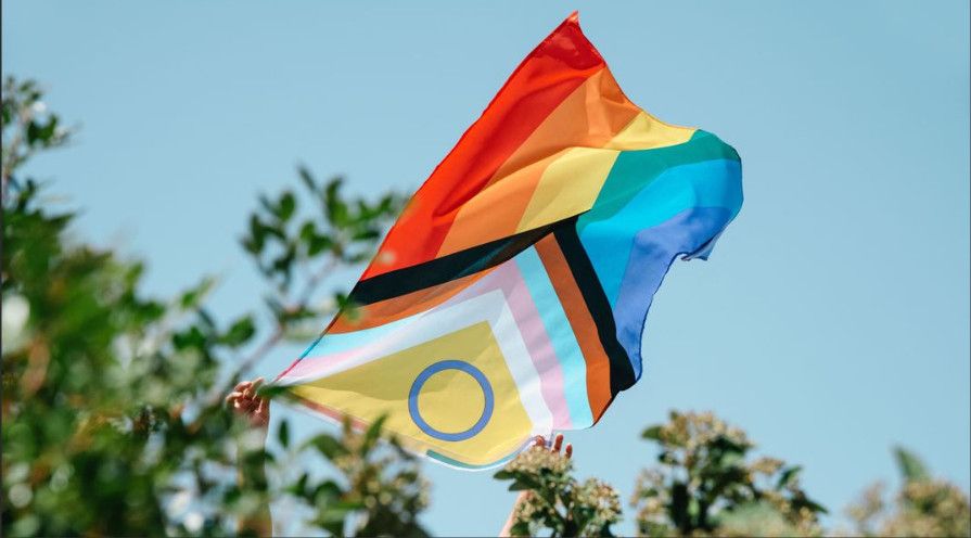Eine Person hält eine Progress-Pride-Flagge mit zusätzlichen Farben für intergeschlechtliche Menschen (gelbes Dreieck mit lila Kreis) hoch in den Himmel. Die Flagge weht im Wind vor einem klaren blauen Himmel und grünen Baumspitzen im Vordergrund.