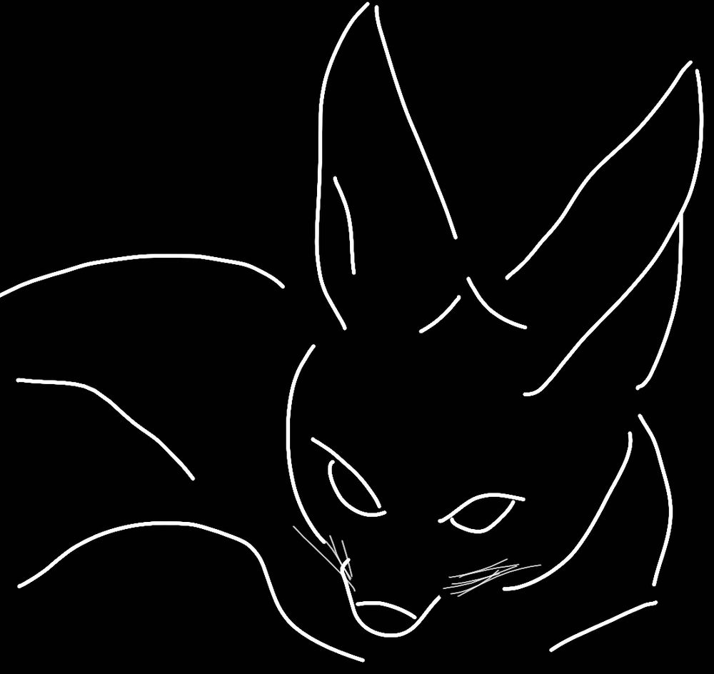 Image of HourlyFoxes traced with white lines on black