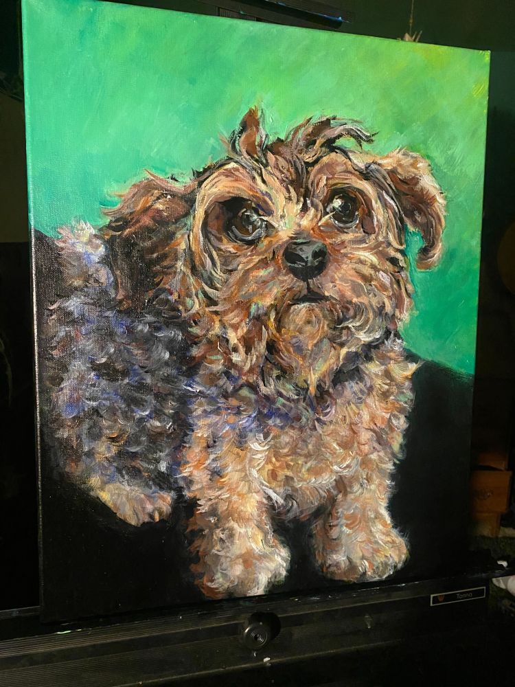 Wonderful painting of a perfect Yorkie with many curlies.