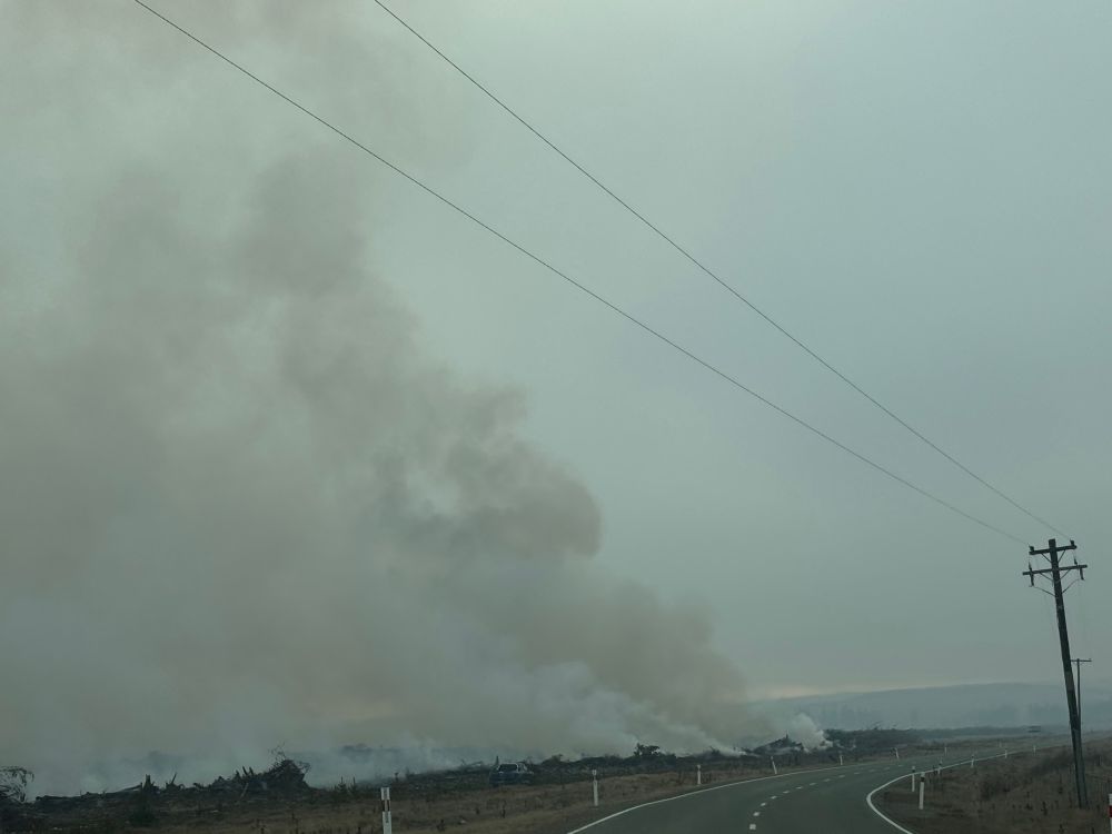 A burn off during the winter months. It’s pretty much summer now on our end. This was on the way to the lavender fields down south.