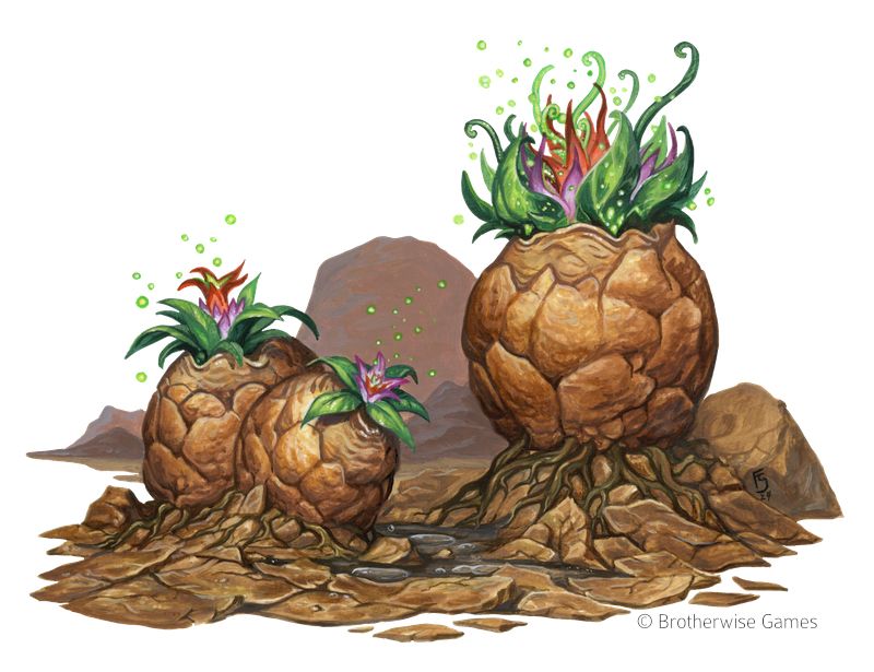 A group of magical plants is breaking out of their stone-like capsules after some rain watered and activated them.